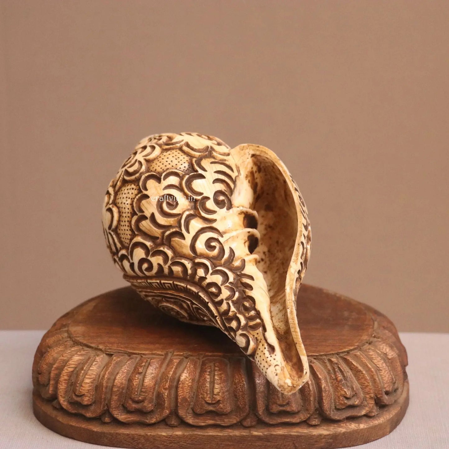 Hand Carved Natural Conch Shell for Tample craftsview
