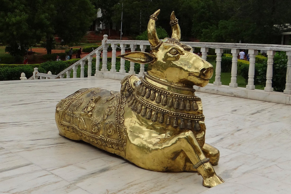 Waiting meditation of shiva nandi