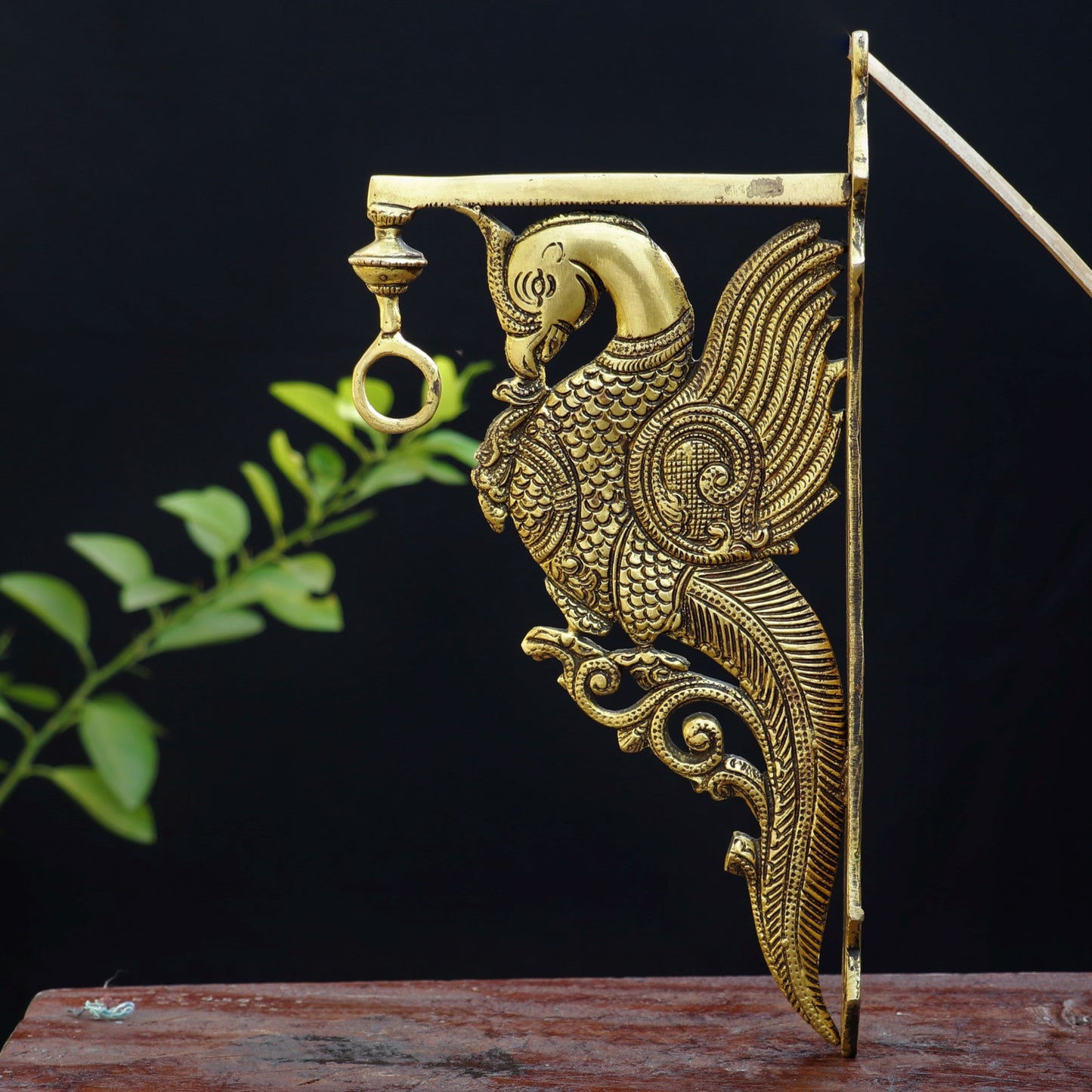 Brass Peacock Wall Bracket Ascents 12"