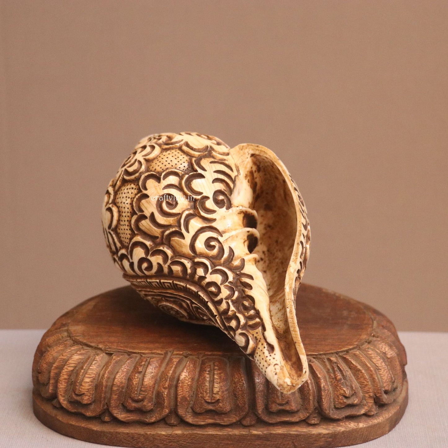 Hand Carved Natural Conch Shell for Tample