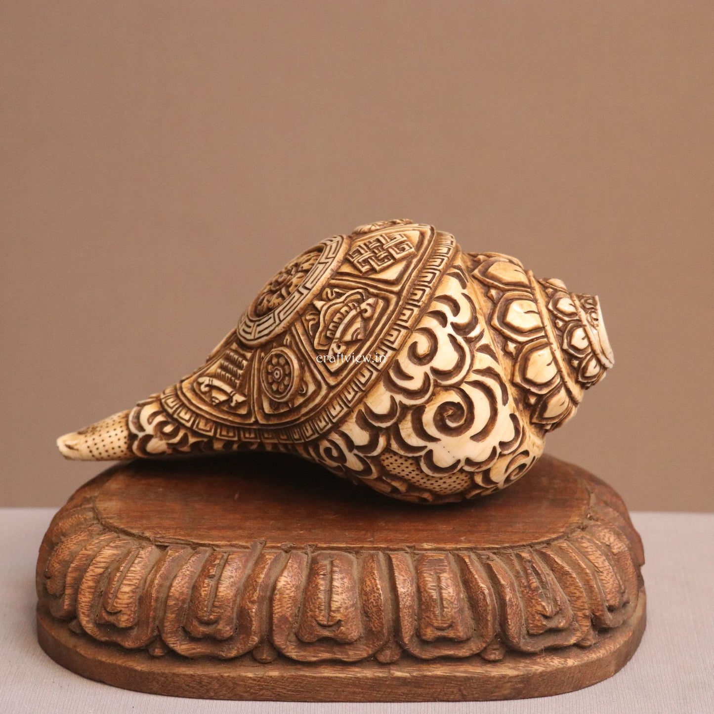 Hand Carved Natural Conch Shell for Tample