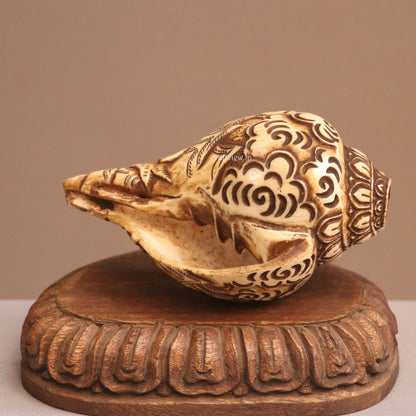 Pure Tibetan Natural Conch Hand Carved Shiva Statue