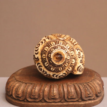 Pure Tibetan Natural Conch Hand Carved Shiva Statue