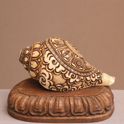 Hand Carved Natural Conch Shell for Tample